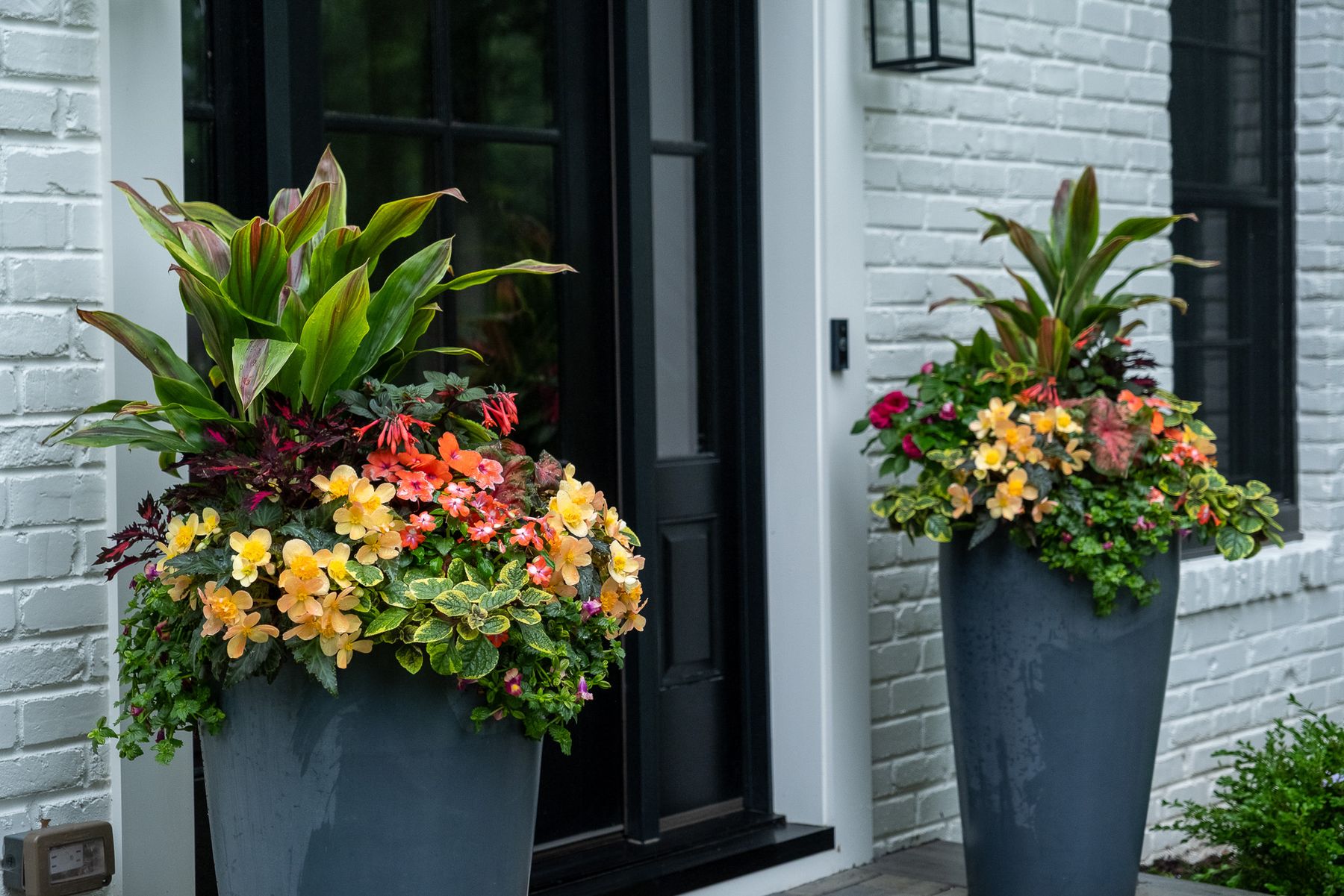 Enliven Planters summer container arrangement